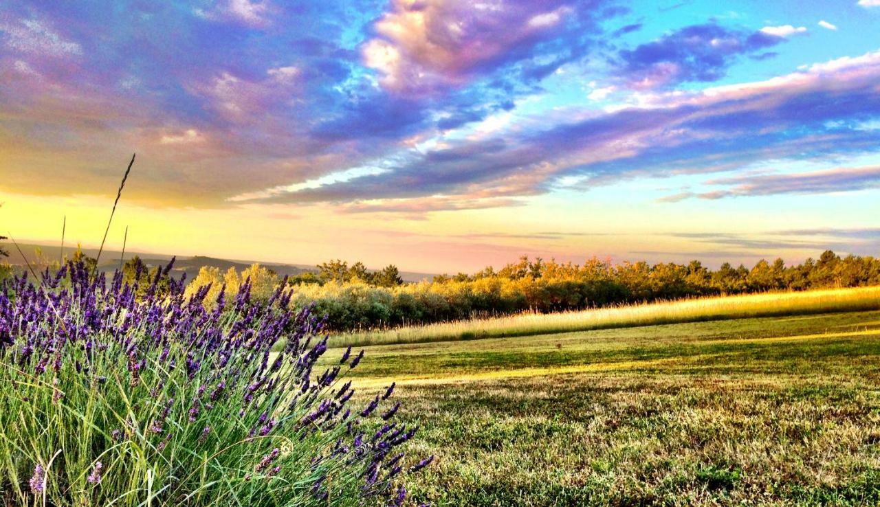 La Colle En Provence Main House Villa Sigonce ภายนอก รูปภาพ
