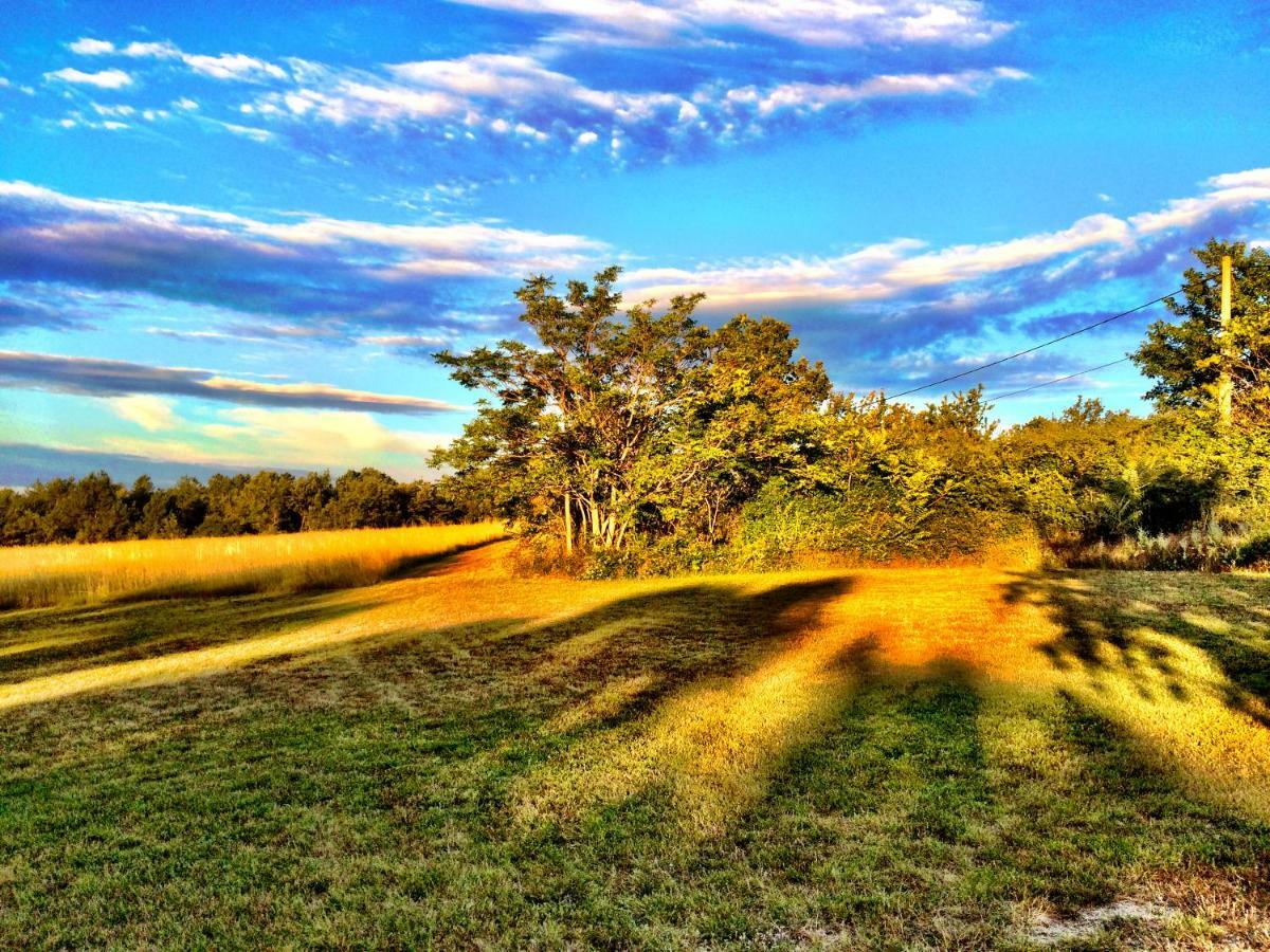 La Colle En Provence Main House Villa Sigonce ภายนอก รูปภาพ