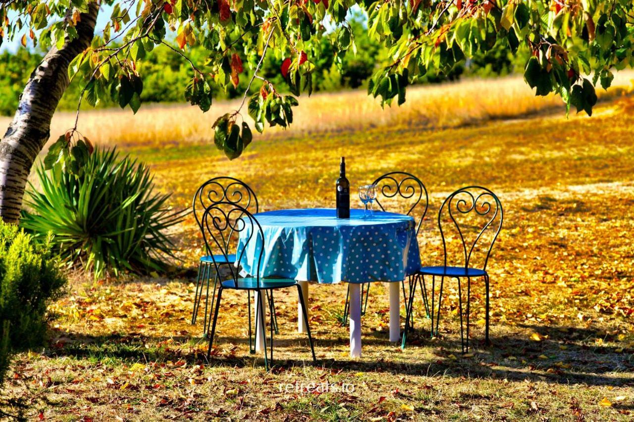 La Colle En Provence Main House Villa Sigonce ภายนอก รูปภาพ